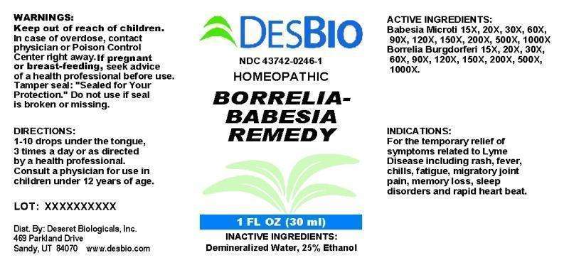 Borrelia Babesia Remedy